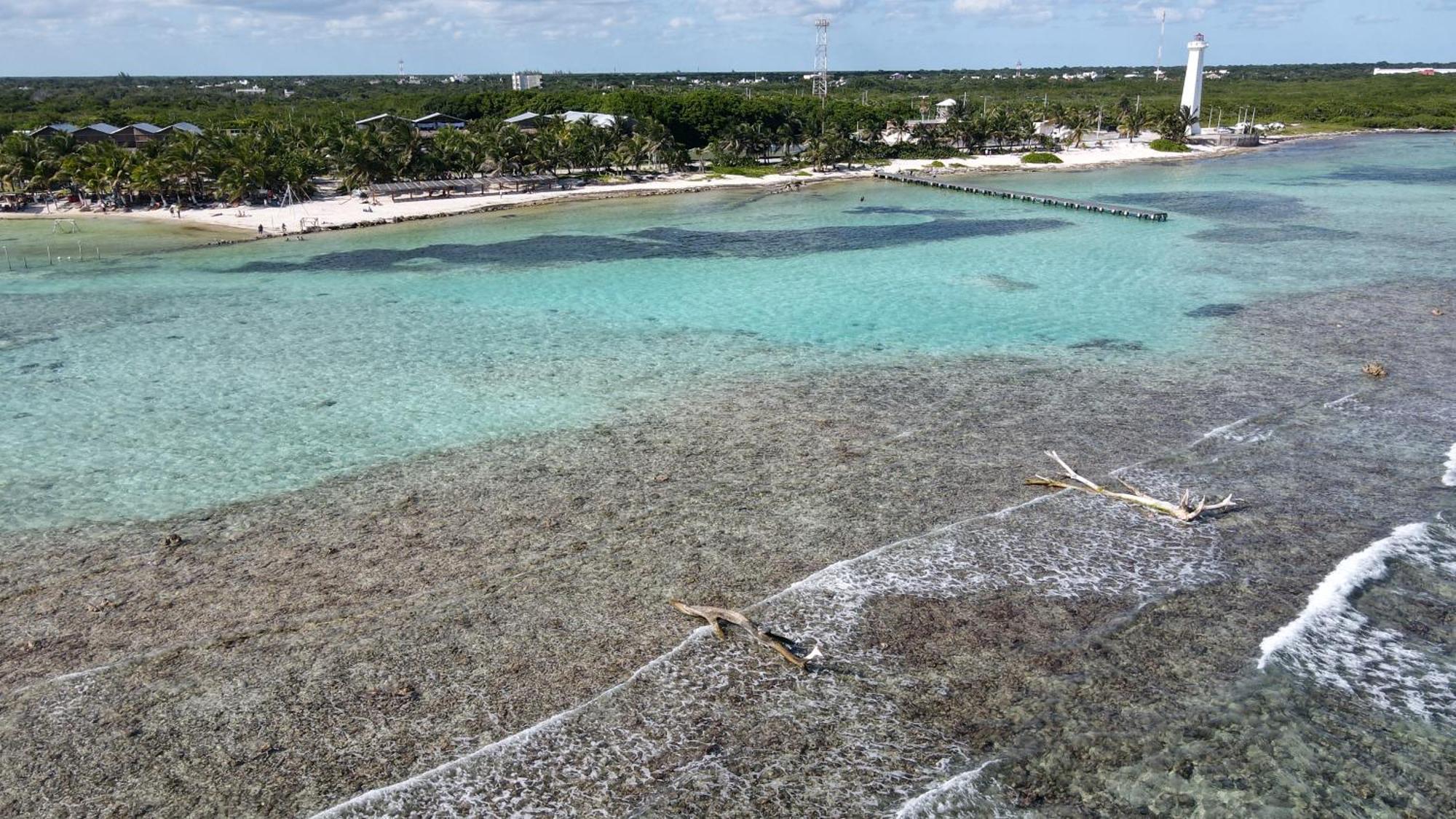 Oneiro Suites With Sea View Mahahual Extérieur photo